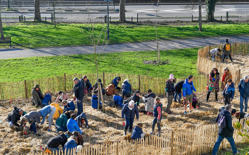 plantation d'une micro forêt à nantes