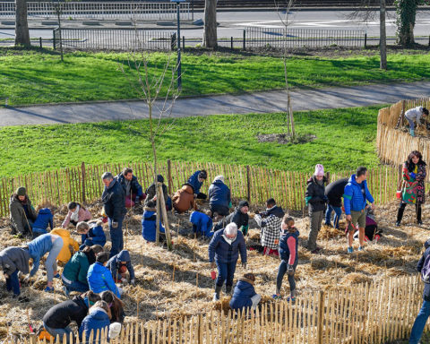 plantation d'une micro forêt à nantes